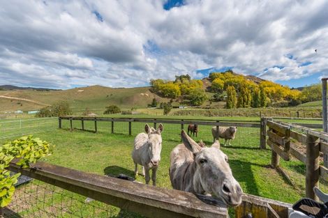 Photo of property in 564 Seafield Road, Puketapu, Napier, 4182