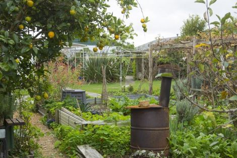 Photo of property in 79 Gordon Street, Dargaville, 0310