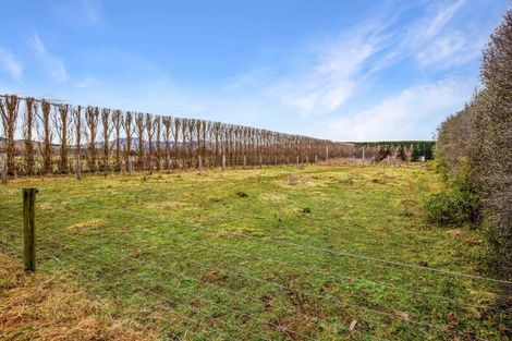 Photo of property in 451 Ridge Road, Motukarara, Christchurch, 7672
