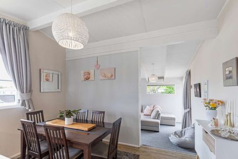 Photo of property in 21 Langley Avenue, Milson, Palmerston North, 4414