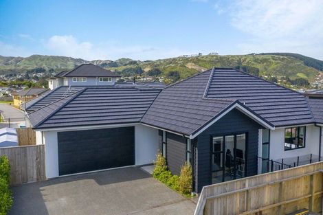 Photo of property in 111 John Burke Drive, Aotea, Porirua, 5024