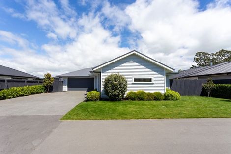 Photo of property in 110 Petries Road, Woodend, 7610