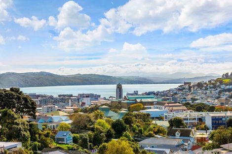 Photo of property in 94 Rolleston Street, Mount Cook, Wellington, 6021