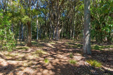 Photo of property in 1398 Glenbrook Waiuku Road, Glenbrook, Waiuku, 2681