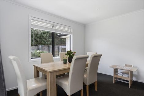 Photo of property in 157 Ohauiti Road, Hairini, Tauranga, 3112