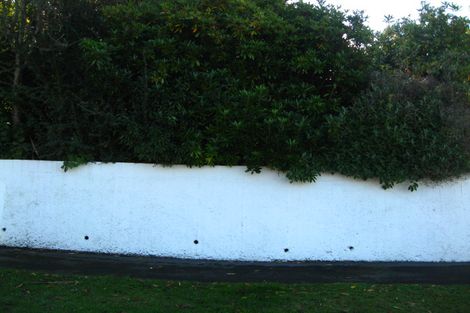 Photo of property in 45 Craighall Crescent, Wakari, Dunedin, 9010