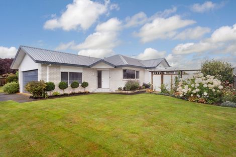 Photo of property in 6 Mannix Place, Matamata, 3400