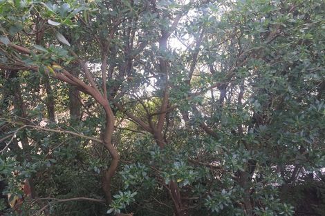 Photo of property in 38 Clyde Street, Roseneath, Port Chalmers, 9023