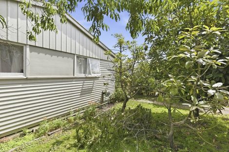 Photo of property in 6 Awatea Street, Levin, 5510