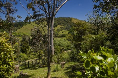 Photo of property in 13 Punga Place, Whitianga, 3510