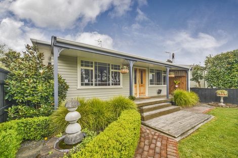 Photo of property in 57 Guy Avenue, Takaro, Palmerston North, 4410