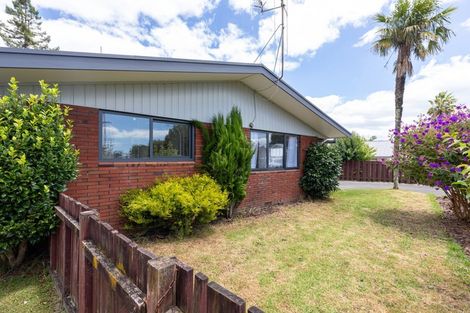 Photo of property in 29 Collingwood Street, Judea, Tauranga, 3110