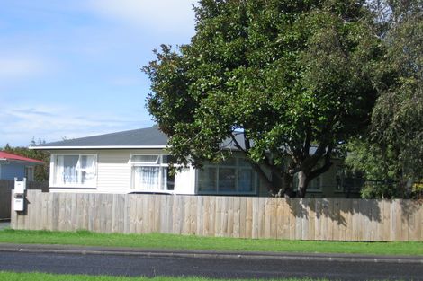 Photo of property in 99 Universal Drive, Henderson, Auckland, 0610