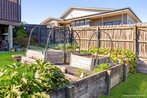 Photo of property in 31 Glenview Terrace, Highfield, Timaru, 7910