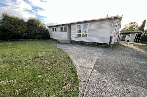 Photo of property in 111 Limbrick Street, Terrace End, Palmerston North, 4410
