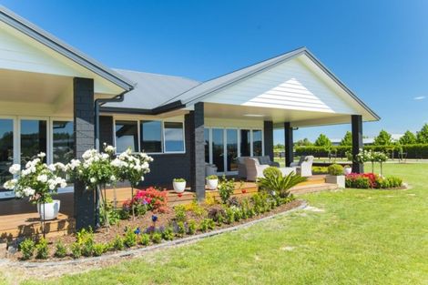 Photo of property in 638 Back Ormond Road, Makauri, Gisborne, 4071