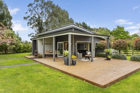 Photo of property in 646 No 2 Line, Fordell, 4572