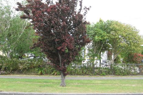 Photo of property in 10 Williams Street, Gisborne, 4010