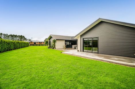 Photo of property in 26 Mercade Close, Stratford, 4332