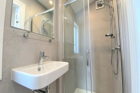 Photo of property in 86 Williamson Avenue, Grey Lynn, Auckland, 1021