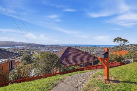Photo of property in 125 Forfar Street, Clyde Hill, Dunedin, 9011