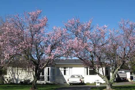 Photo of property in 209 Frimley Avenue, Frimley, Hastings, 4120