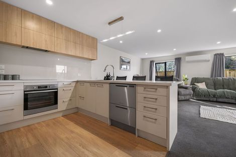 Photo of property in 3 Packhorse Lane, Arthurs Point, Queenstown, 9371