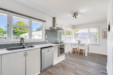 Photo of property in 29 Blankney Street, Hornby, Christchurch, 8042