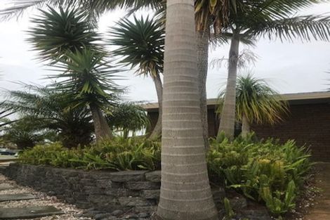 Photo of property in 6 Jim Rhind Place, Pahurehure, Papakura, 2113