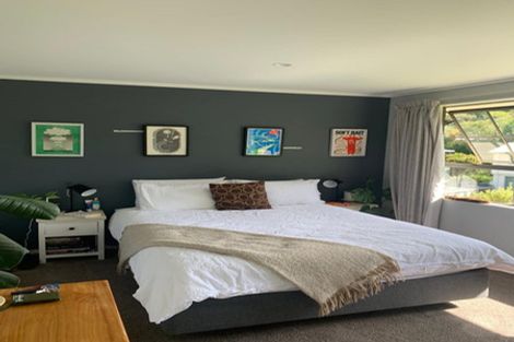 Photo of property in 101 James Cook Street, Havelock North, 4130