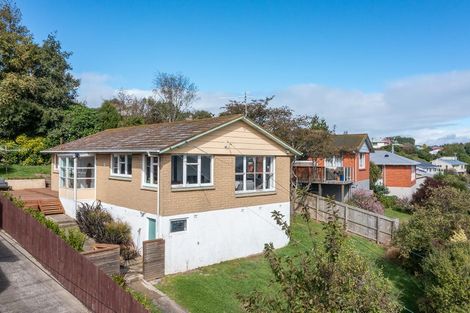 Photo of property in 129 Mulford Street, Concord, Dunedin, 9018