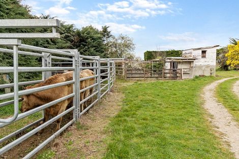 Photo of property in 102 Levels Plain Road, Levels, Timaru, 7975