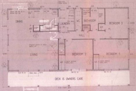 Photo of property in 19 Emerald Place, Papamoa Beach, Papamoa, 3118