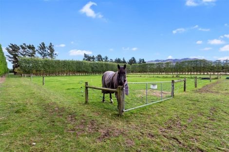 Photo of property in 27 Powells Road, Oxford, 7430