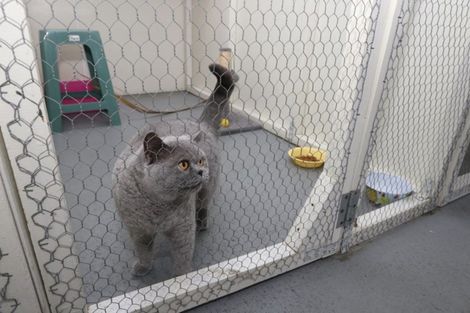 Photo of property in 18 Thews Road, Tinwald, Ashburton, 7778