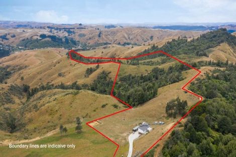 Photo of property in 265 Wilton Collieries Road, Glen Massey, Ngaruawahia, 3794