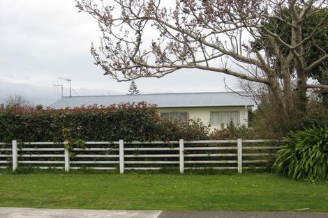 Photo of property in 19 Graham Street, Levin, 5510