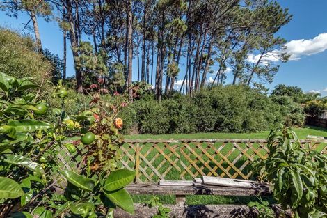 Photo of property in 2/21 Morton Avenue, Forrest Hill, Auckland, 0620