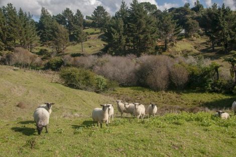 Photo of property in 16 Turntable Hill Road, Whakamarama, 3181