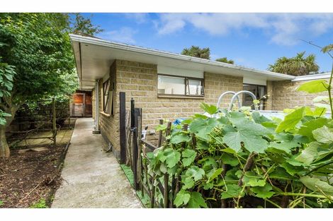 Photo of property in 36 Green Street, Tahunanui, Nelson, 7011