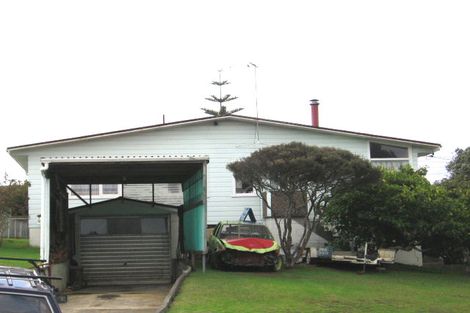 Photo of property in 52 Woodford Avenue, Henderson, Auckland, 0610
