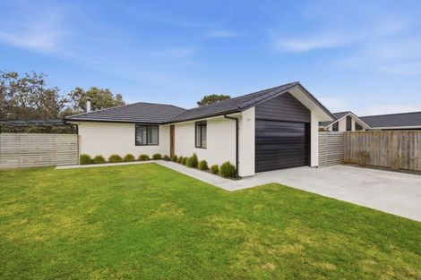 Photo of property in 38 Tawhero Street, Gonville, Whanganui, 4501