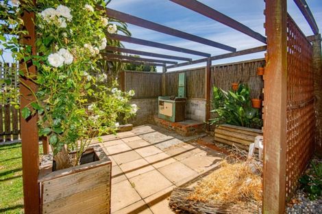 Photo of property in 19 Shirtliff Street, Riversdale, Blenheim, 7201