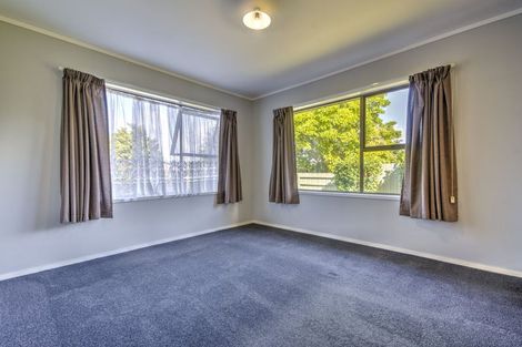 Photo of property in 41 Winstone Avenue, Chartwell, Hamilton, 3210