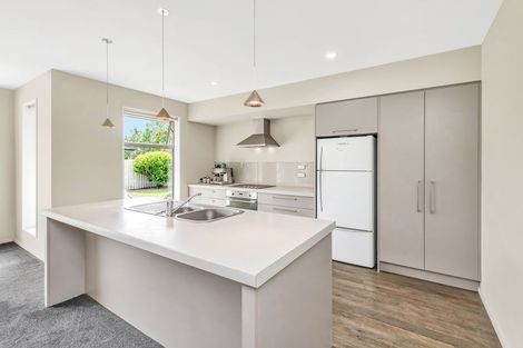 Photo of property in 8b Greenan Place, Doyleston, 7683