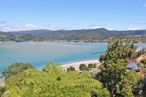 Photo of property in 161 Paku Drive, Tairua, 3508
