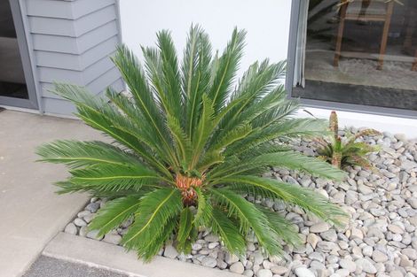 Photo of property in 905 Upper Ohauiti Road, Ohauiti, Tauranga, 3173