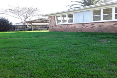 Photo of property in 57 Kayes Road, Pukekohe, 2120