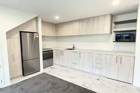 Photo of property in 17c Dickens Street, Addington, Christchurch, 8024