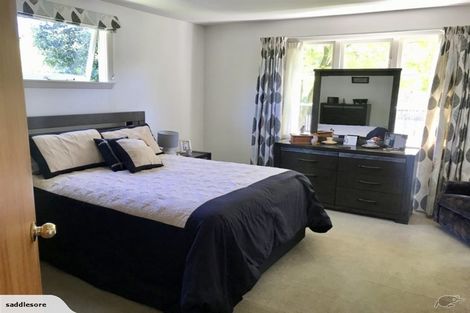 Photo of property in 56 Hastings Street, Southbridge, 7602